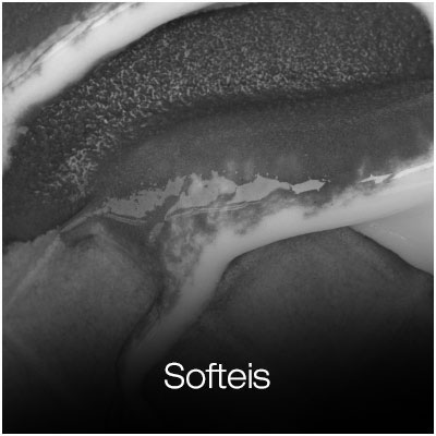 Softeismaschine